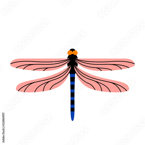 Isolated dragonfly Summer insect Animal Vector