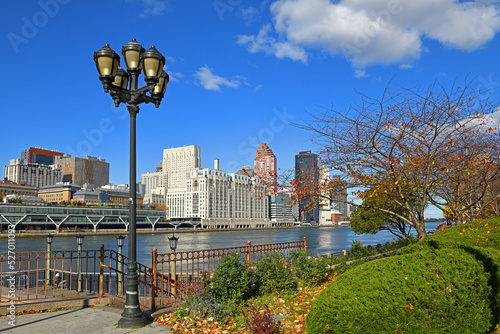 Autumn embankment of Roosevelt Island, New York City