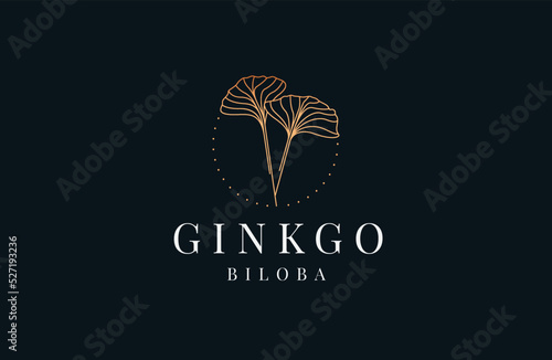 Ginkgo leaf logo icon design template flat vector illustration