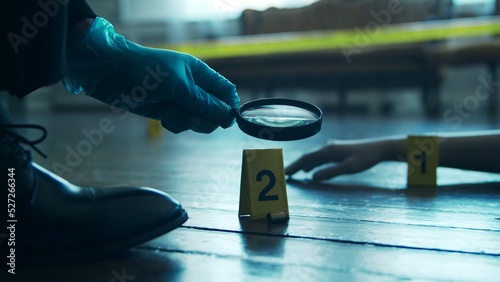 Detective Collecting Evidence in a Crime Scene. Forensic Specialists Making Expertise at Home of a Dead Person. Homicide Investigation by Professional Police Officer.