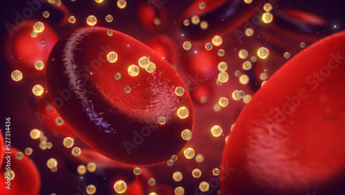 High-density lipoprotein particles(HDL) also known as good cholesterol, in the blood. Higher HDL levels correlate with lower risk of cardiovascular disease