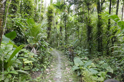 Colonia city in Yap state, Micronesia.