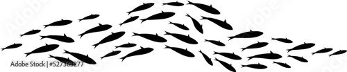 Fish group swim curve. Underwater school icon