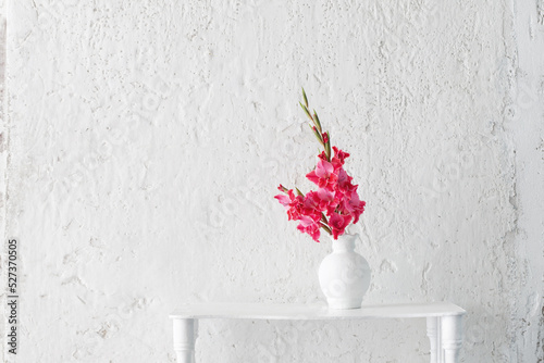 pink gladiolus in white vase on background white wall