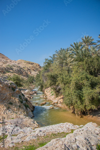 Mountains and nature of Jericho, Palestine