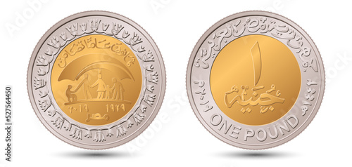 1 pound, 2020 commemorative Ministry of Solidarity. Reverse and obverse of Egyptian one pound coin in vector illustration.
