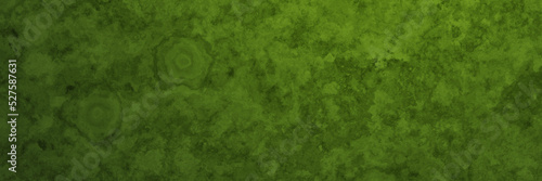 Abstract green weathered wall background.