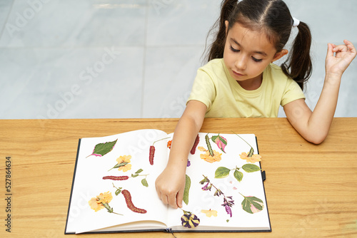 Child with dried flowers making herbarium on dining wood table in home. Dried pressed flowers view from above.