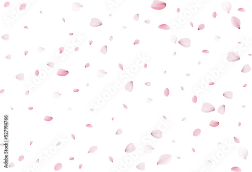 Flying sakura petals.