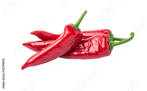 Red chili pepper isolated