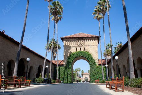 Stanford California Gate palms