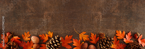Colorful fall leaves, nuts and pine cones. Bottom border over a rustic dark banner background. Top view with copy space.