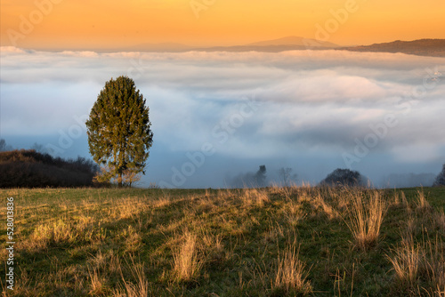 A foggy, autumn morning in the Pieniny Mountains with a view of the Babia Góra. Mglisty, jesienny poranek w Pieninach z widokiem na Babią Górę. 