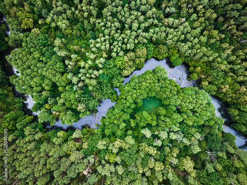 Aerial view of river, swamps and forest.
