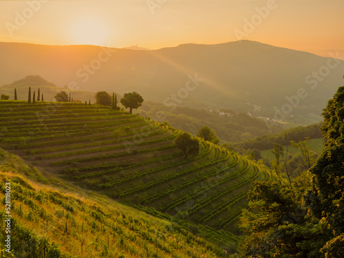 Last touches of autumn evening sun across wine country and terraced vineyards