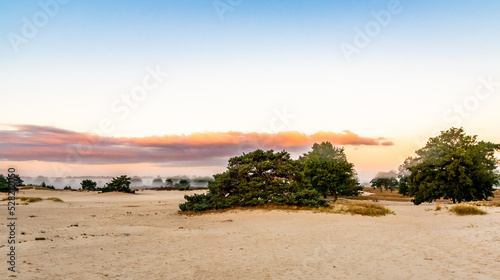 Sunrise over the sand dunes