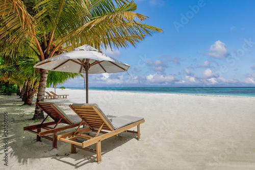 Tropical beach nature as summer landscape with lounge chairs beds palm tree leaves and calm sea for beach banner. Luxury travel landscape, beautiful destination for vacation or holiday. Beach scene