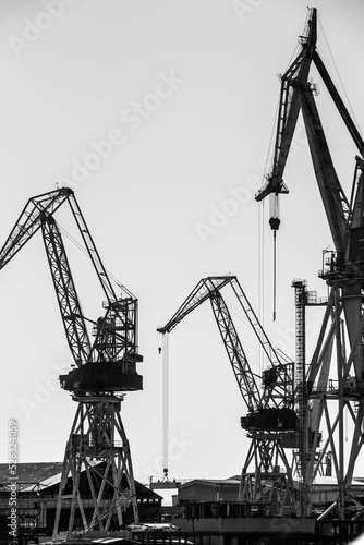 cranes in the port of pula, croatia, black and white