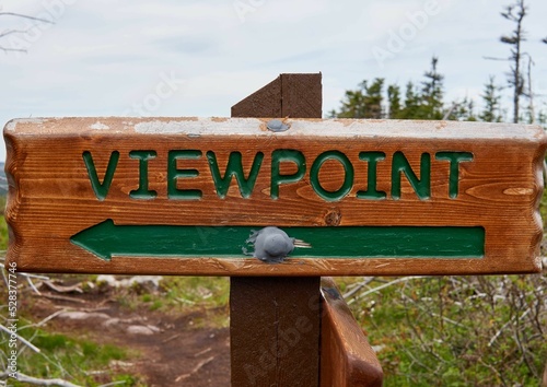 Arrow on the wooden board guides to the viewpoint