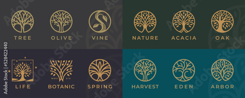 Abstract Tree of life logo icons set. Botanic plant nature symbols. Tree branch with leaves signs. Natural design elements emblem collection. Vector illustration.