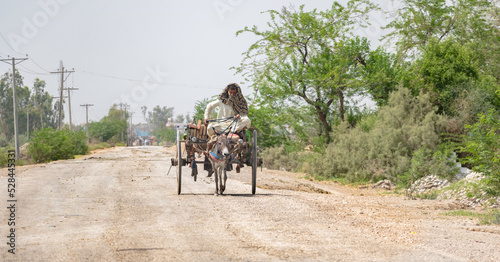 villager is traveling on a donkey buggy 