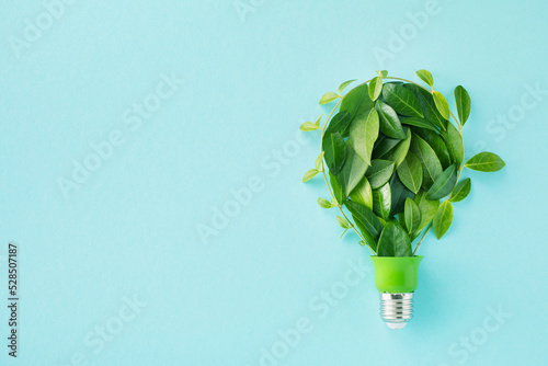 Green eco friendly lightbulb from fresh leaves top view. Energy saving, ecology and environment sustainable resources conservation concept...