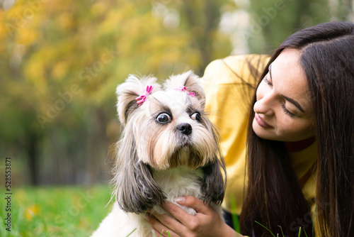 A brunette woman holds in her arms hugs and kisses a funny surprised shih tzu dog in autumn park. copy space background. The concept of love and care for animals.
