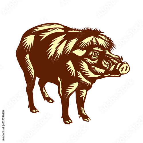Philippine Warty Pig Woodcut