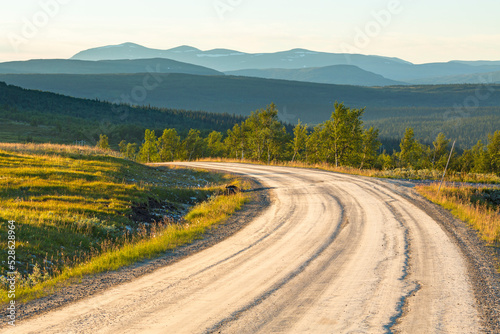 Curve on a dirt road with a scenic view of a forest landscape with the mountains on the horizon