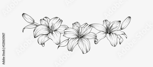 Hand drawn black lily flower semicircle wreath composition in cute doodle style. Luxury elegant sketch vector illustration for postcard, wedding invitations, thank you card, birthday, logo, cosmetics.