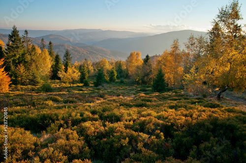 Autumn in the Beskids, Równica, Ustroń, Poland