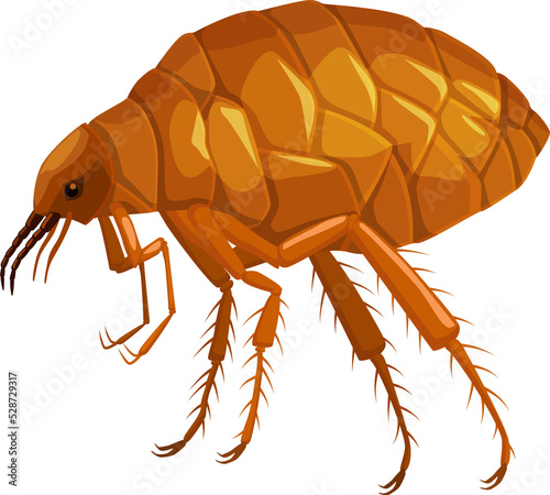 Flea icon, insect parasite pest control service
