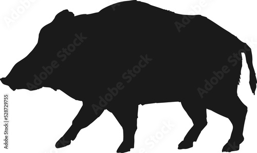 Hog wild boar animal isolated silhouette side view