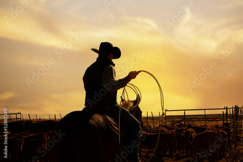 New Mexico Cowboy