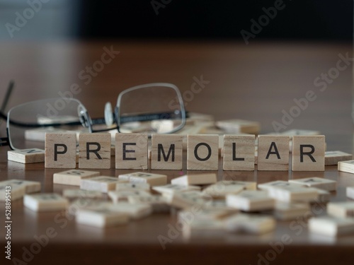 premolar word or concept represented by wooden letter tiles on a wooden table with glasses and a book