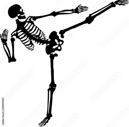 Kung-fu skeleton.