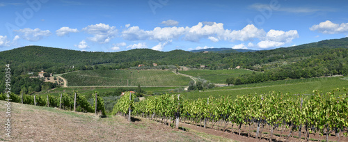Beautiful landscape of Vineyards in Tuscany with blue sky. Chianti region in summer season. Harvest period, Italy.