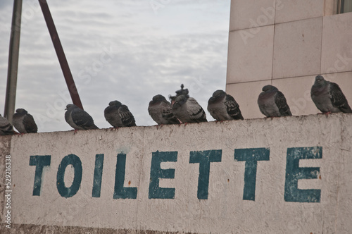 Toilette