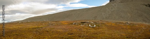 Panorama of Thule site on Caswell Tower, Nunavut, Canada