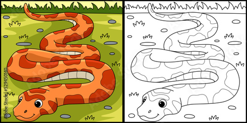 Corn Snake Animal Coloring Page Illustration