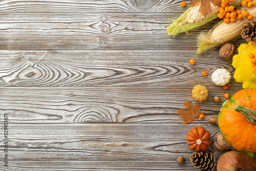 Thanksgiving day concept. Top view photo of raw vegetables pumpkins pattypan squash maize acorns maple leaves nuts rowan and pine cones on isolated grey wooden table background with empty space