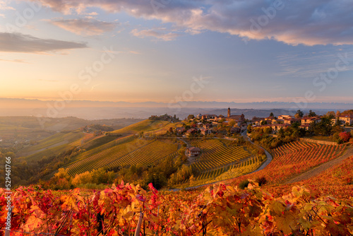 view of Treiso in Autumn, Langhe, Piedmont, Italy