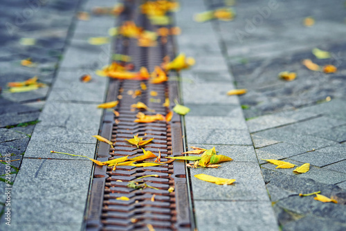 Drain blocked by colorful leaves in autumn season. Fallen leaves over footpath cover metal drainage grid. Leaves in drain sewer. Metal grid covered with yellow leaves. Selective Focus