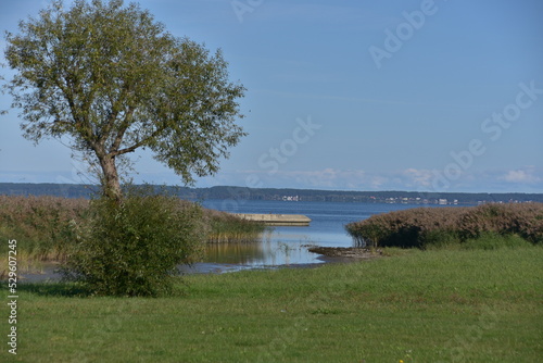 Frombork, Żuławy, Pomorze, Zalew, Wiślany, zatoka, morze, rezerwat, 