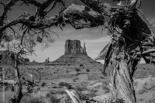 Monument Valley in Black and White