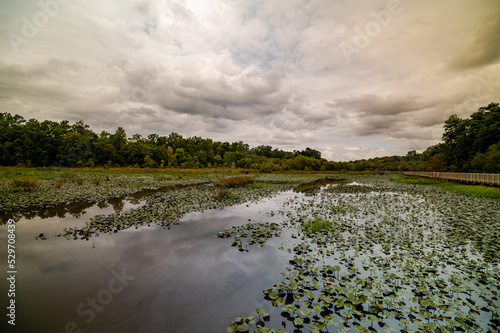 Henrico County, VA Park