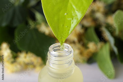Essential oil dripping from green leaf into bottle, closeup
