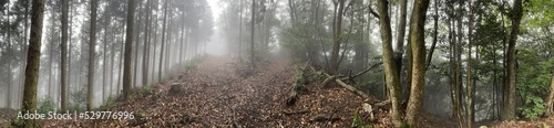 霧が立ち込める登山道の分岐のパノラマ写真