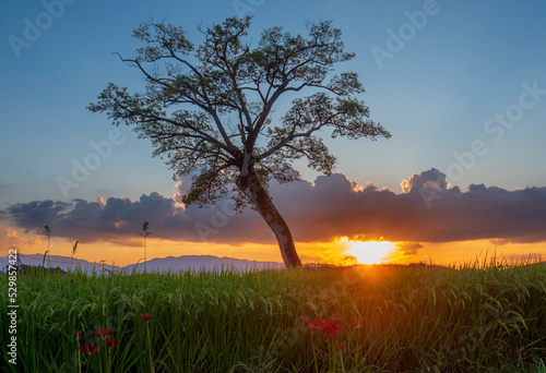 秋の夕暮れ