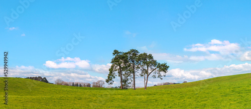 Picturesque green field landscape panorama at springtime